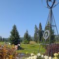 PXL_20260716_161322093.jpg