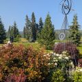 PXL_20260716_161309389.jpg