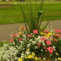 DSC01331.jpg