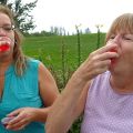 DSC01315.jpg