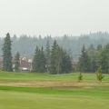 DSC01103.jpg